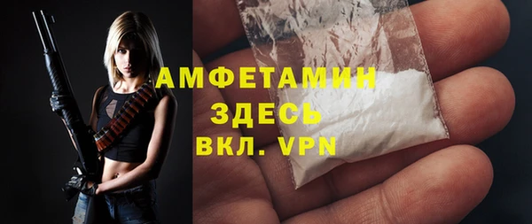 ПСИЛОЦИБИНОВЫЕ ГРИБЫ Арсеньев