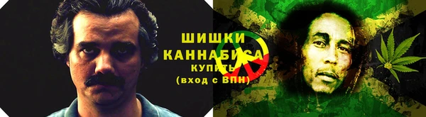ПСИЛОЦИБИНОВЫЕ ГРИБЫ Арсеньев