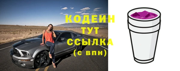ПСИЛОЦИБИНОВЫЕ ГРИБЫ Арсеньев