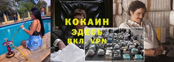 ПСИЛОЦИБИНОВЫЕ ГРИБЫ Арсеньев