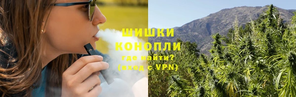 ПСИЛОЦИБИНОВЫЕ ГРИБЫ Арсеньев