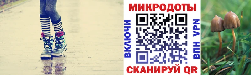 Купить закладки Уяр Псилоцибиновые грибы мухоморы